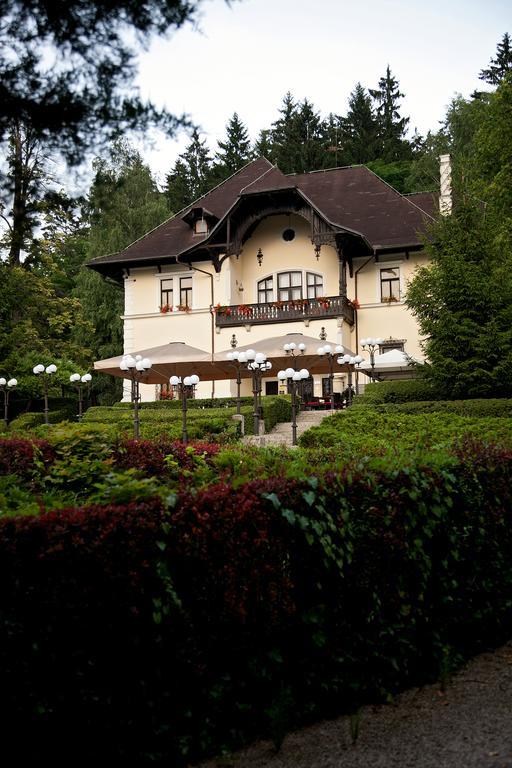 Vila Herberstein Velenje Buitenkant foto