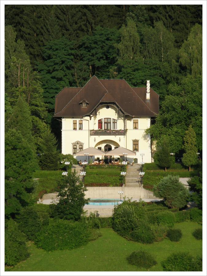 Vila Herberstein Velenje Buitenkant foto